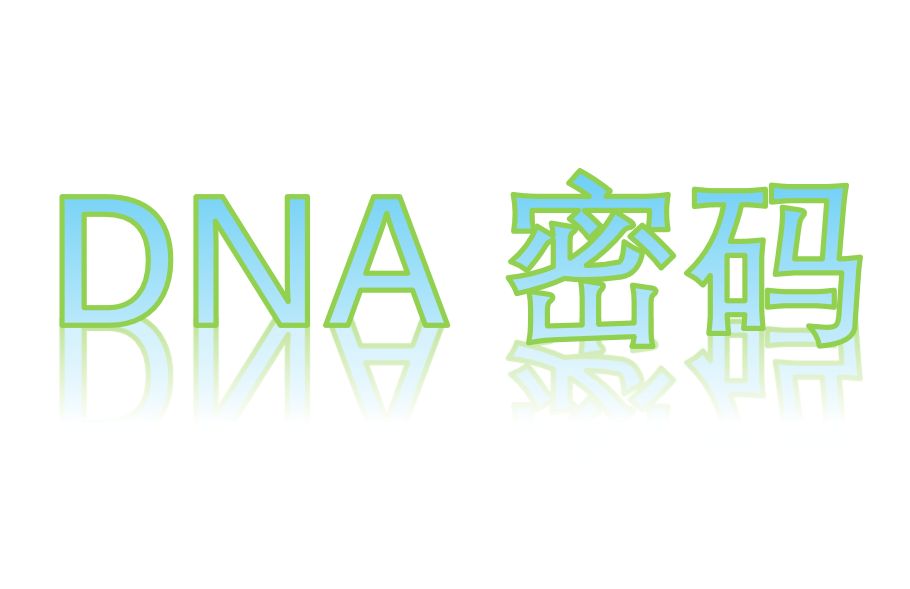 DNA密码