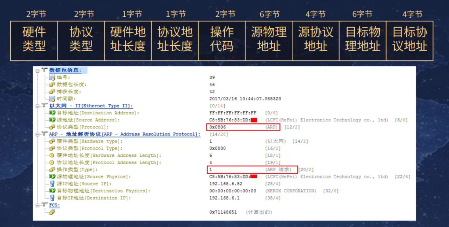 ARP协议及解码